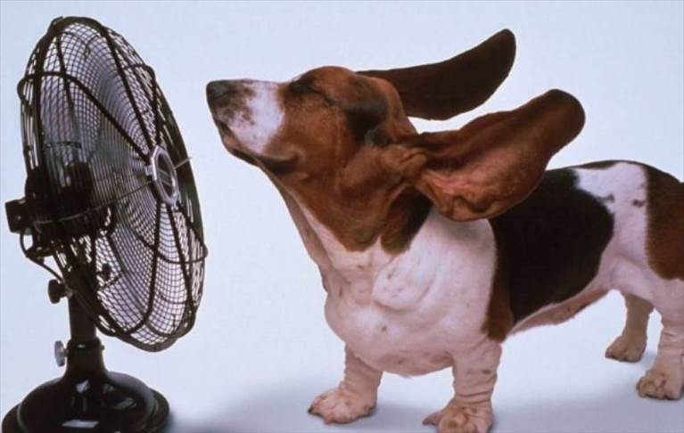 caldo anomalo