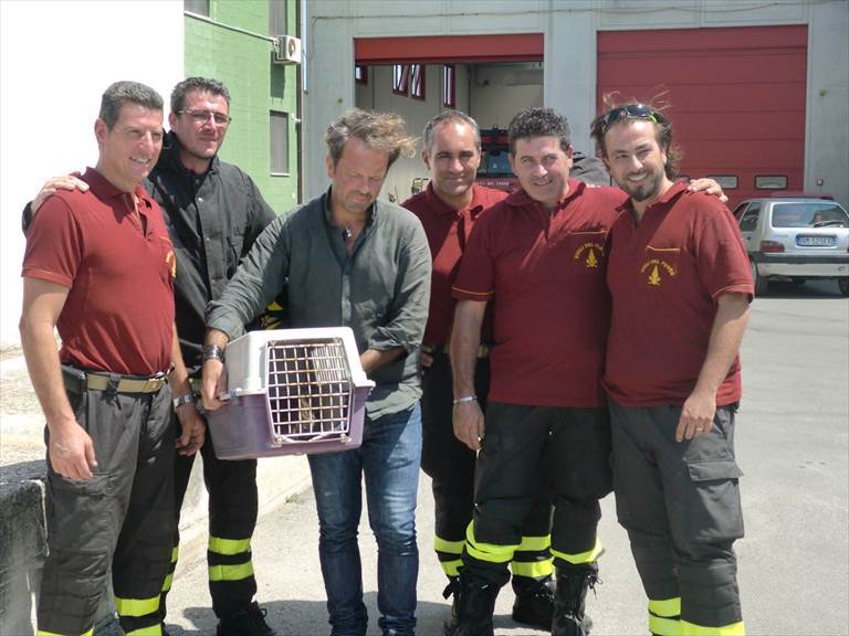 La consegna dell'animale a Pasquale Salvemini del WWF