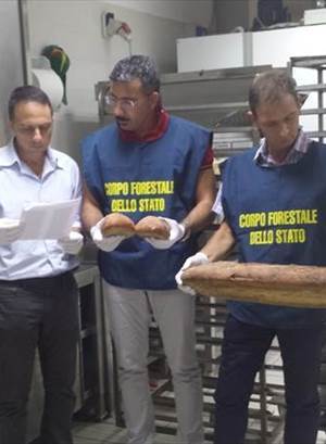Il Corpo Forestale dello Stato sventa truffa in Puglia
