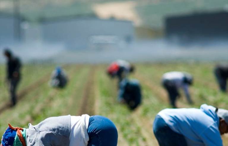 Caporalato e lavoro nero a Triggiano