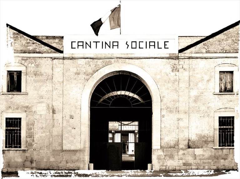 Cantina sociale