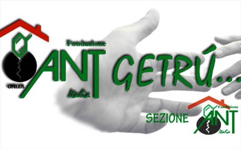 il logo di ant getru