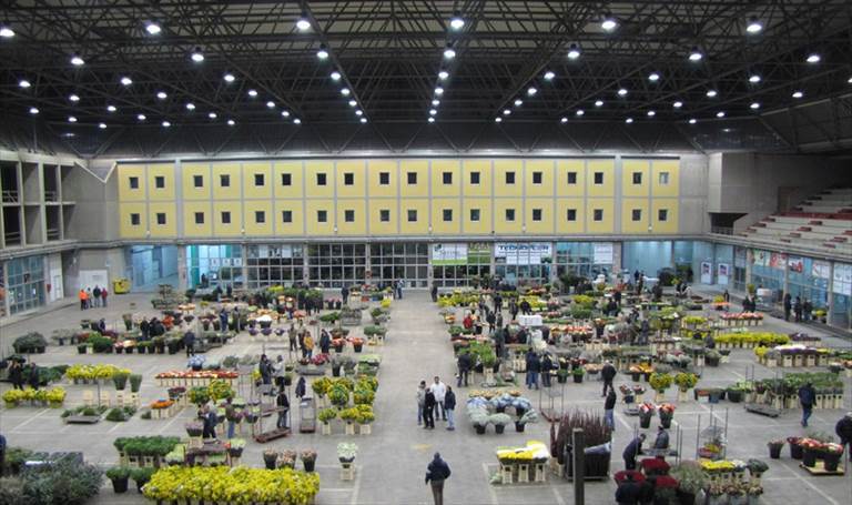 Mercato dei Fiori Terlizzi