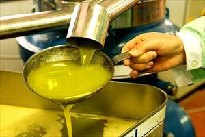 Olio d'oliva