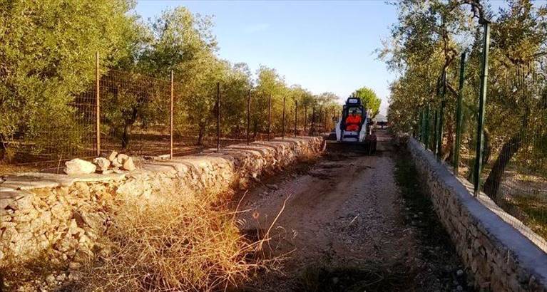 asfalto nelle strade di campagna