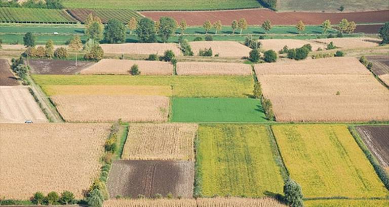 Terreni agricoli
