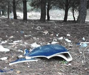 degrado nella pinetina comunale vicino il Cimitero