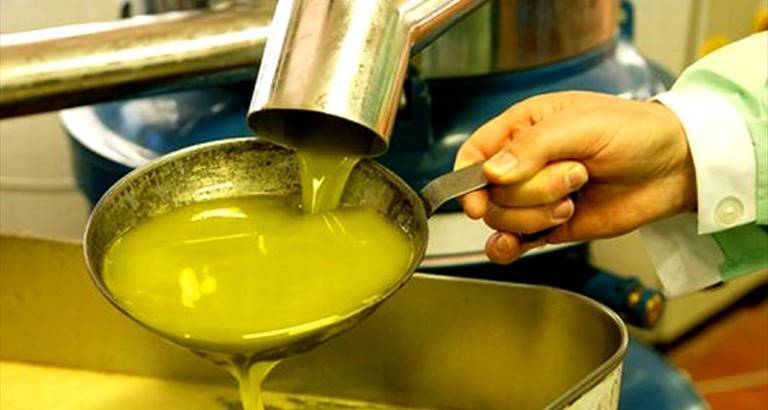 Olio d'oliva