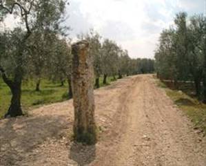 via appia traiana