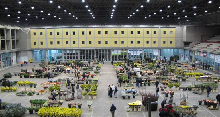 Mercato dei Fiori Terlizzi