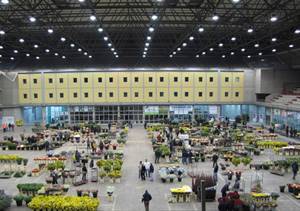 Il Mercato dei fiori di Terlizzi