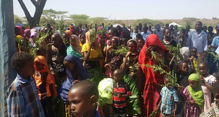 la domenica delle palme in kenya