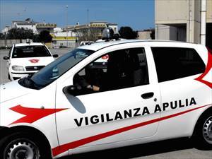 Malviventi messi in fuga dall'arrivo della Vigilanza Apulia