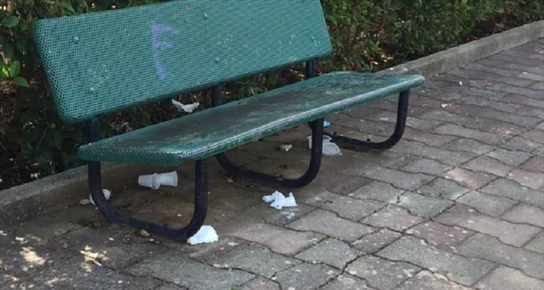 rifiuti nel parco comunale