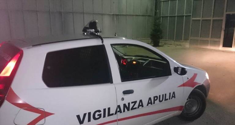 la vigilanza
