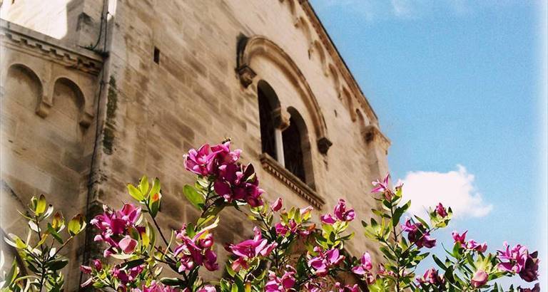 la facciata della chiesa del rosario