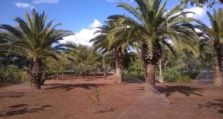 lavori presso il parco comunale