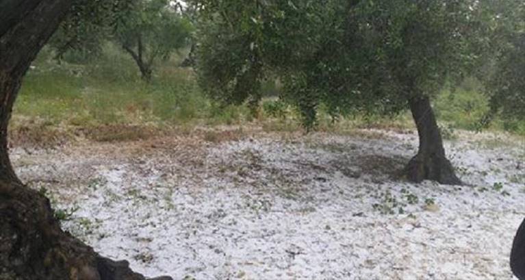 grandine in campagna