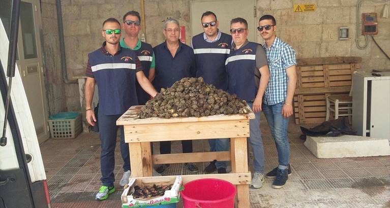 Sequestro di prodotti ittici da parte della Guardia costiera