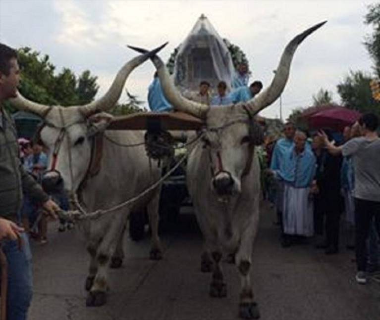 processione