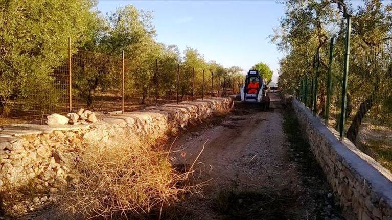 asfalto nelle strade di campagna