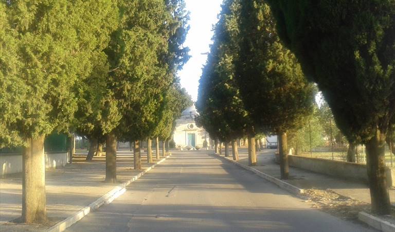 Viale del cimitero di Terlizzi