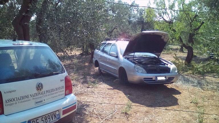 auto rubate