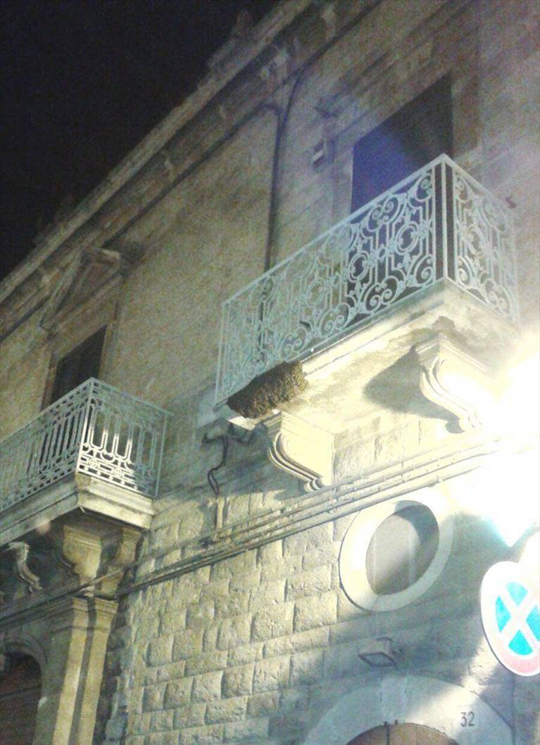 alveare