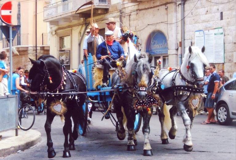Un traino d'epoca in "passerella"