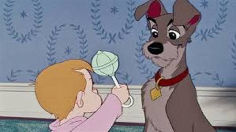 lilli e il vagabondo