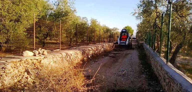 asfalto nelle strade di campagna