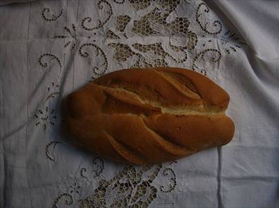 quarticella