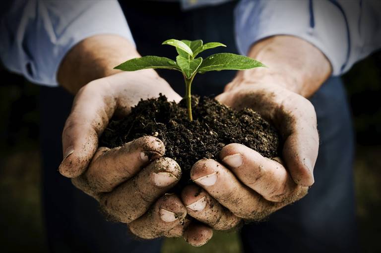 Agricoltura nel Sud Italia