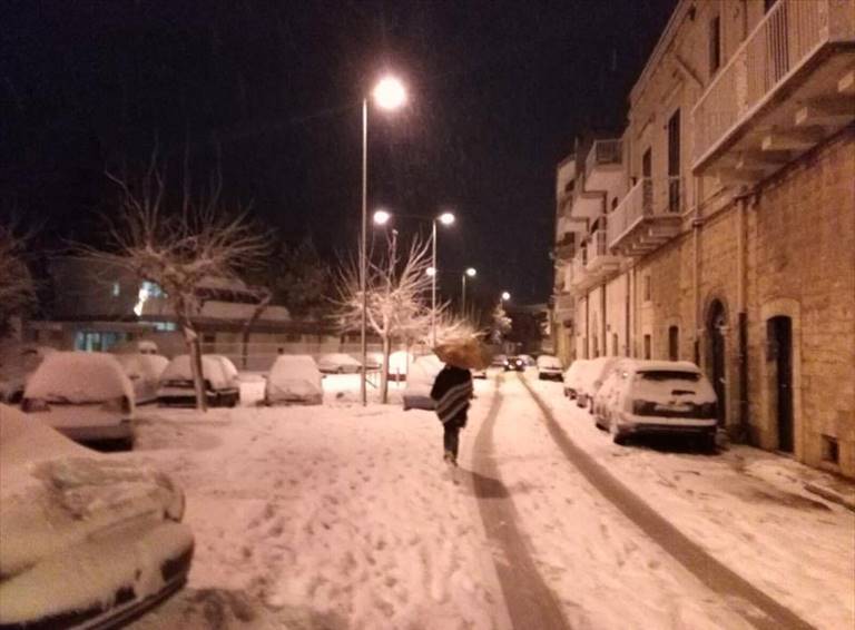 neve