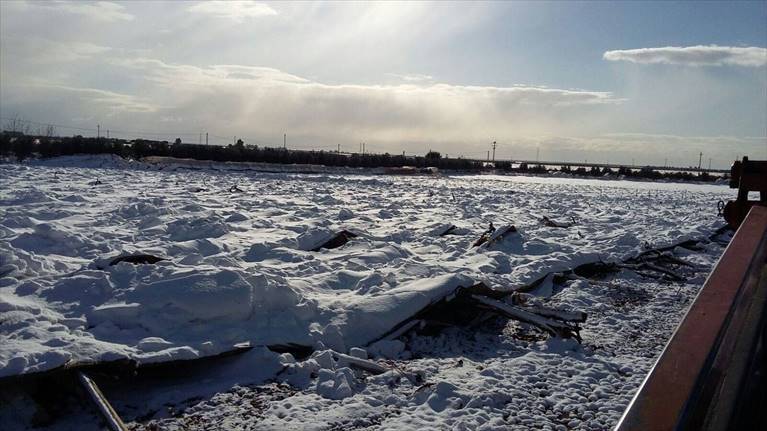 Neve nei campi