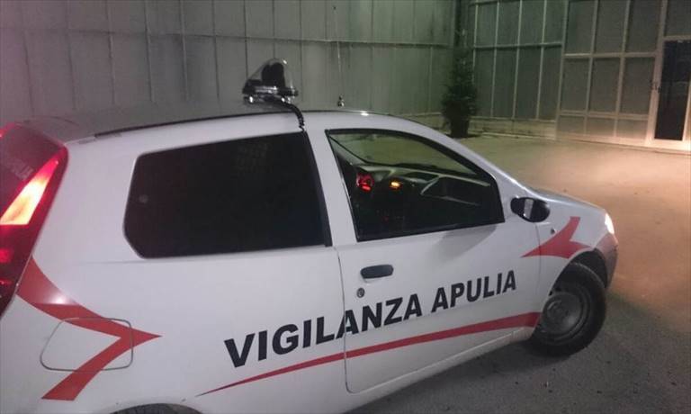 la vigilanza