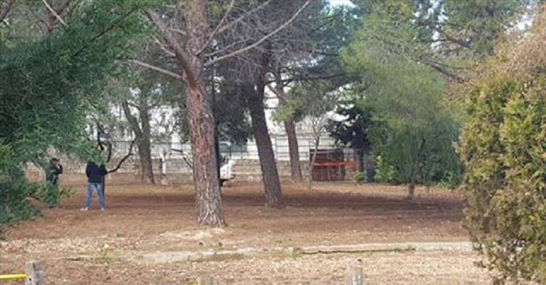 area di sgambamento