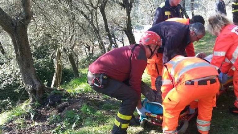 morto anziano agricoltore