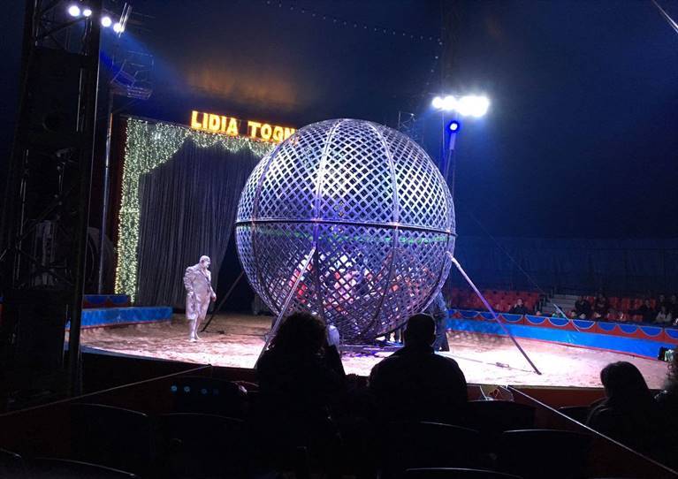 Incidente al Circo Togni