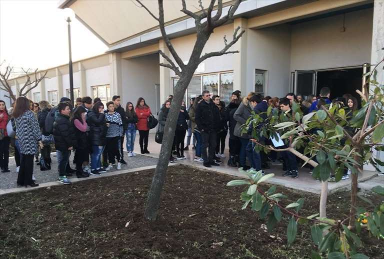 La piantumazione dell'ulivo