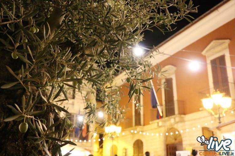 Cosa fai nel fine settimana?
