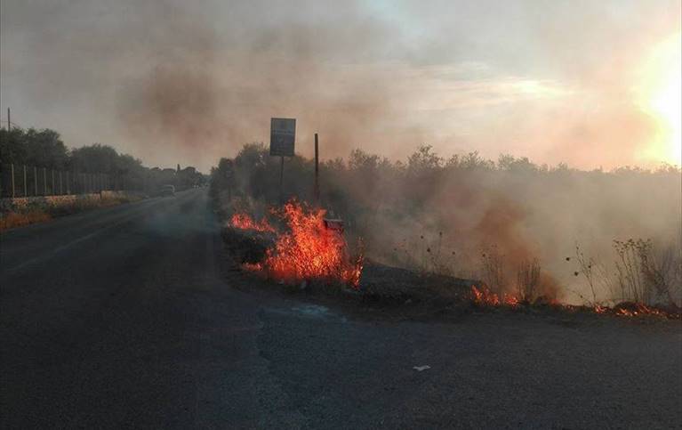 incendi nelle campagne