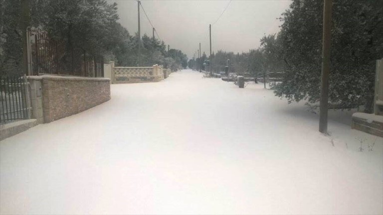Neve nelle campagne di Corato