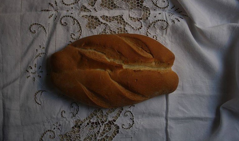 quarticella