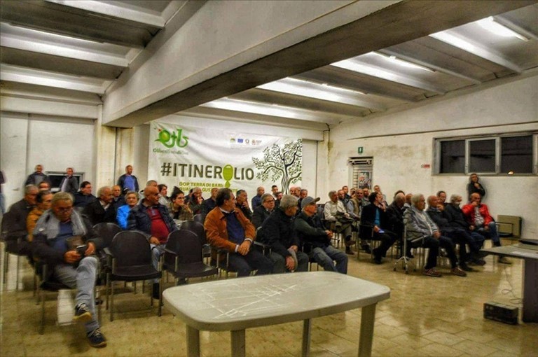 Agricoltura Progresso liquida la campagna olearia 2016-2017 col prezzo più altro degli ultimi anni