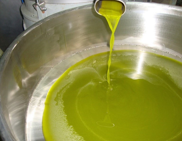 Olio nuovo