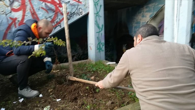 La Befana ha il pollice verde: piantati i primi alberelli del 2018