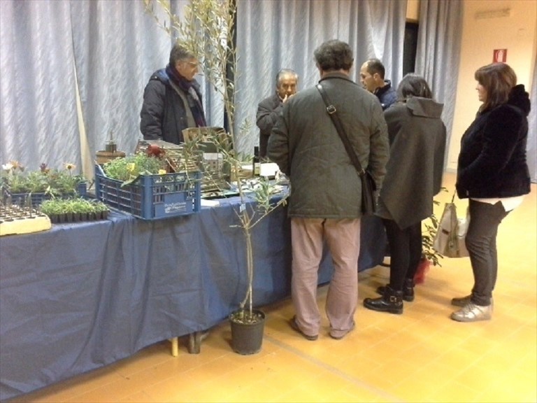 Open day al plesso terlizzese del tecnico Volta-De Gemmis
