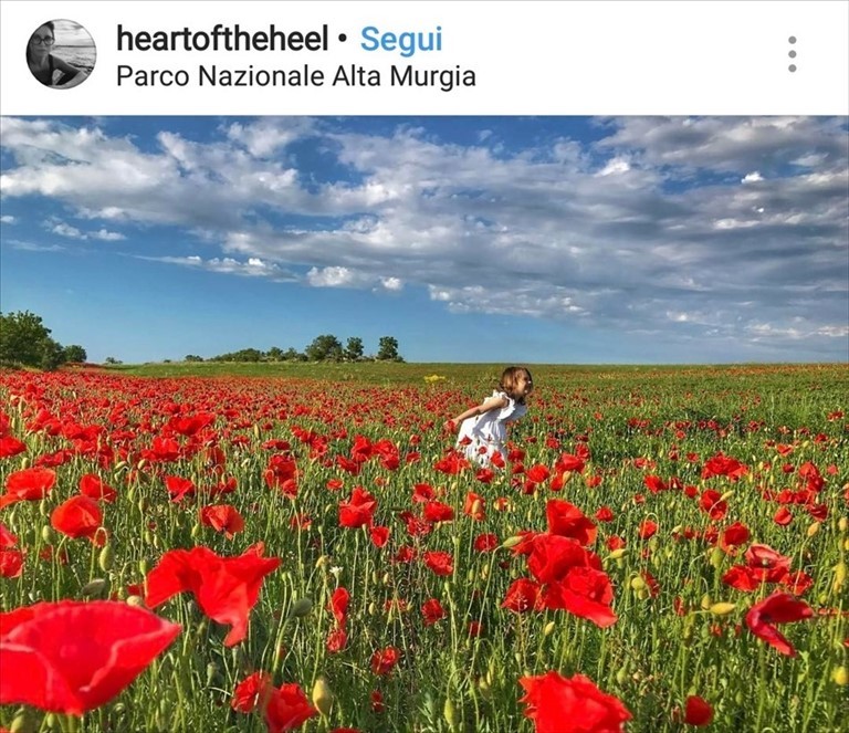 La foto di Ruvo di Puglia