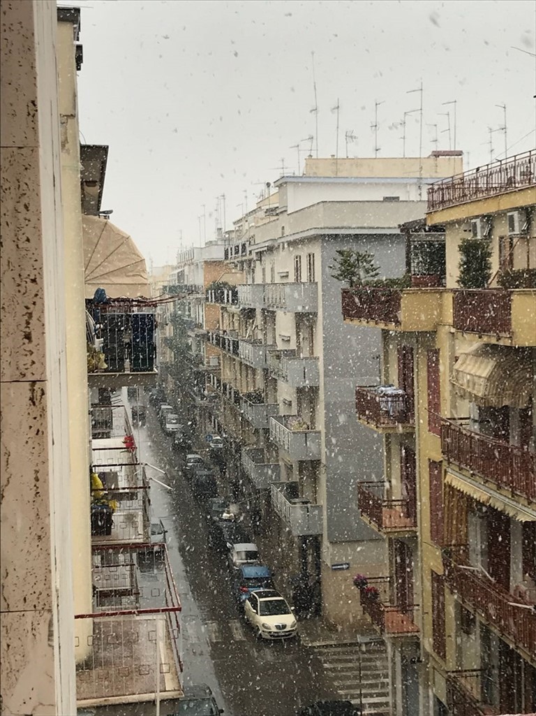 neve su terlizzi